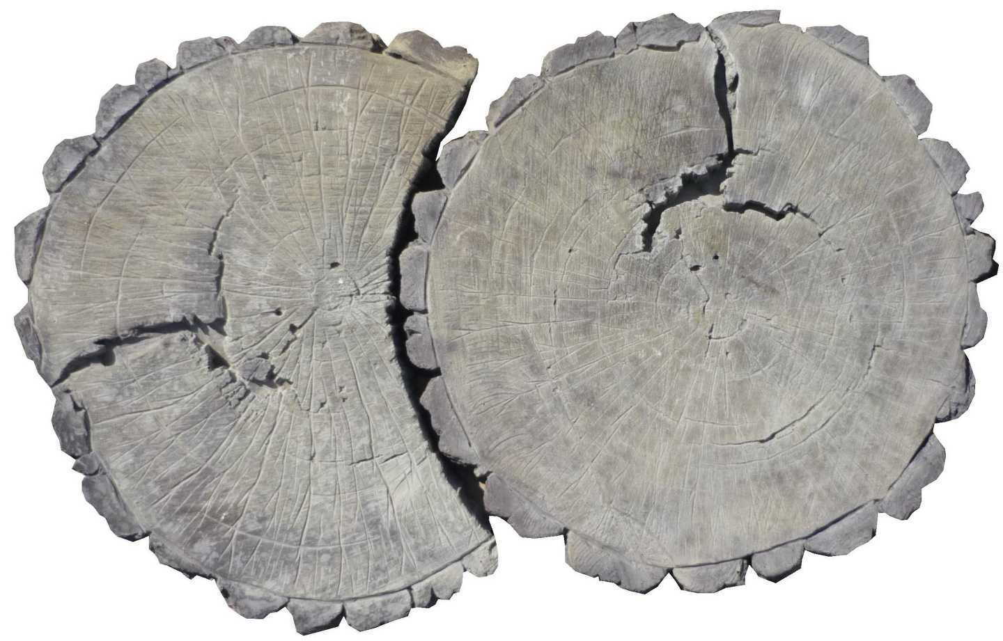 Отзывы на компанию Сибирский монолит в Новосибирске c фото