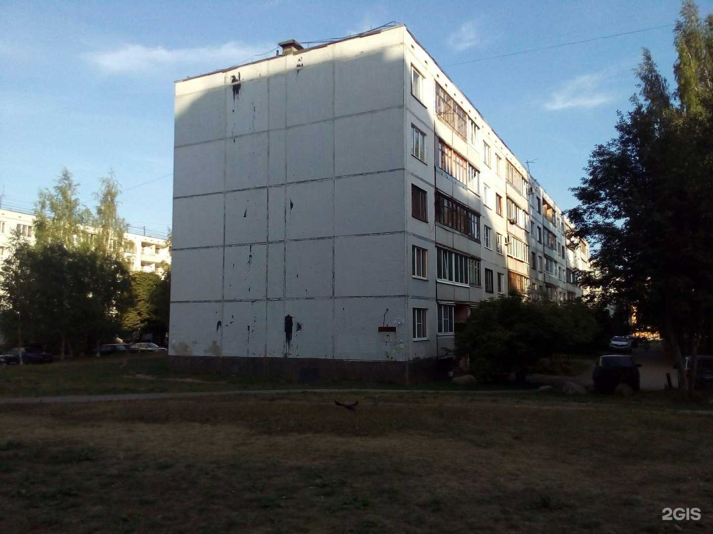 Отзывы на компанию Shugar in Pskov в Пскове c фото - фотография 2 из 2