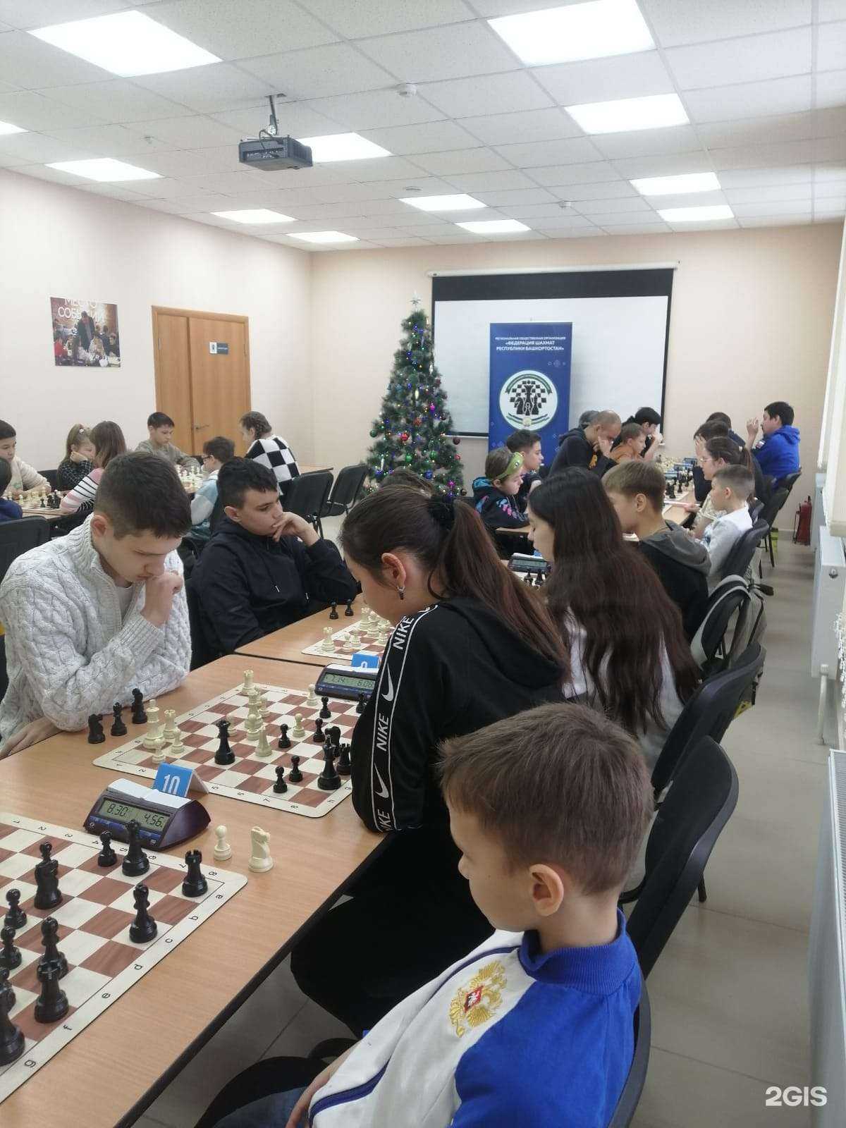 Отзывы на компанию Шахматный клуб в Уфе c фото
