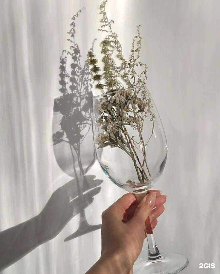 Отзывы на компанию Первая леди в Липецке c фото