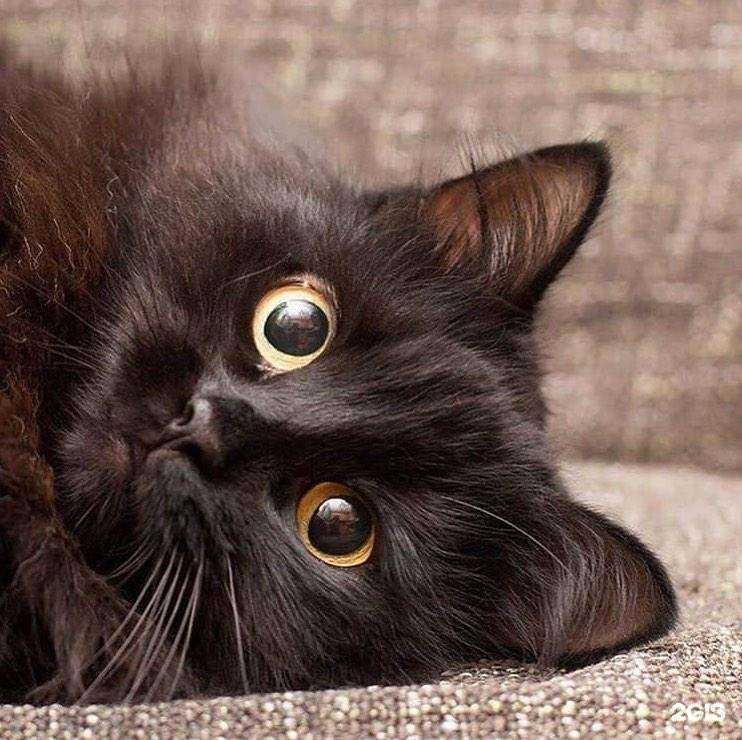 Отзывы на компанию Друг в г. Волгоград c фото