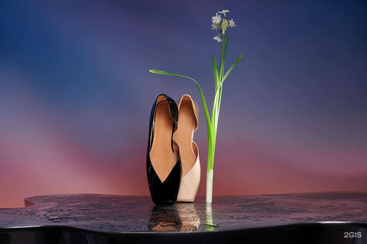 Отзывы на компанию Mascotte в г. Киров c фото