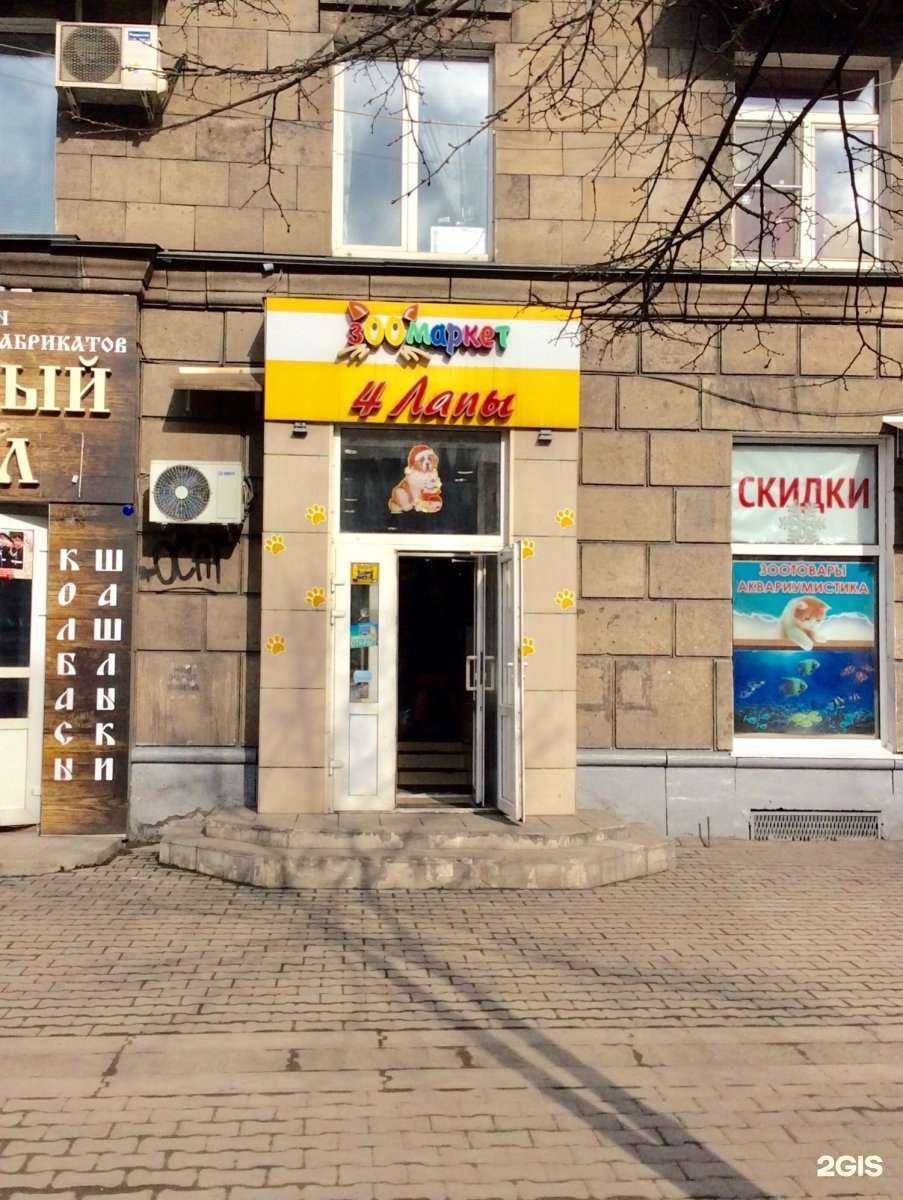 Отзывы на компанию 4 лапы в Новокузнецке c фото