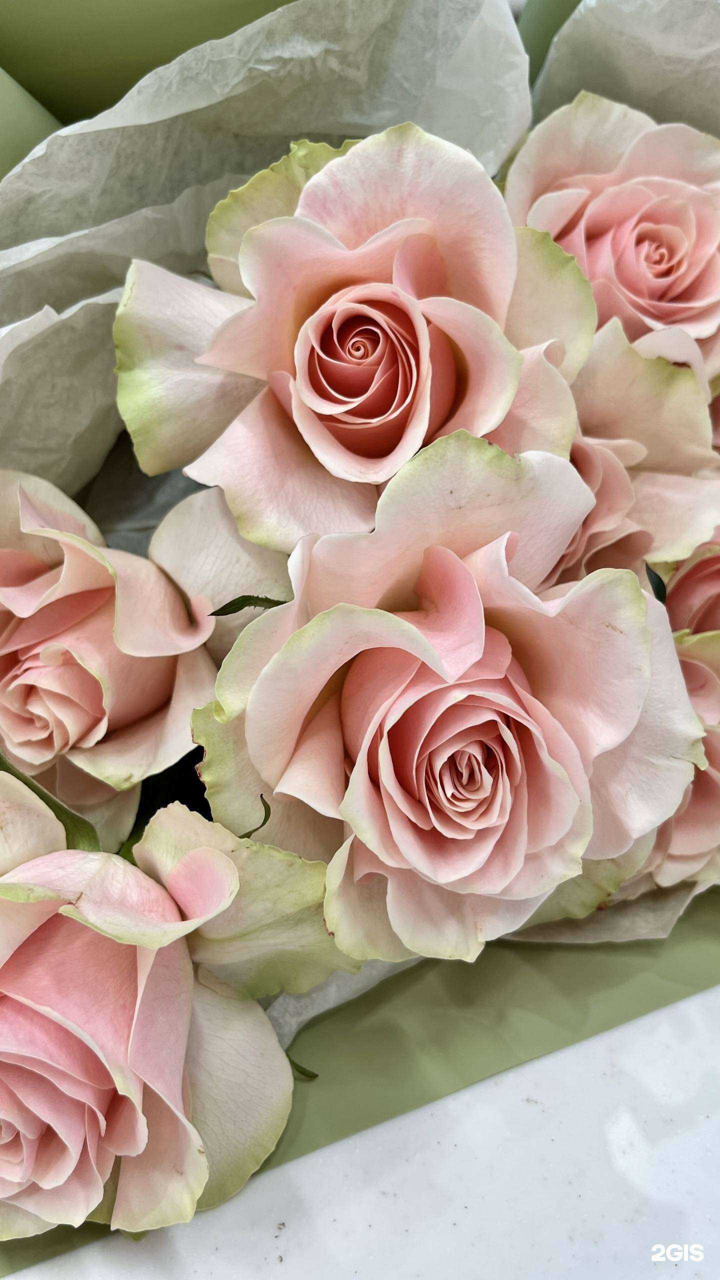 Отзывы на компанию Флорамика в Челябинске c фото