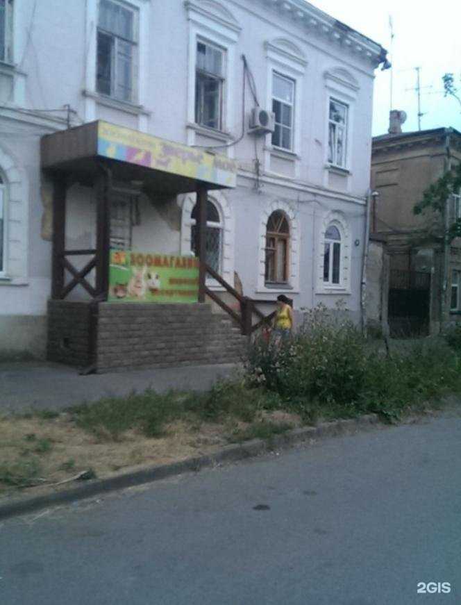 Отзывы на компанию Зверьё моё в Таганроге c фото