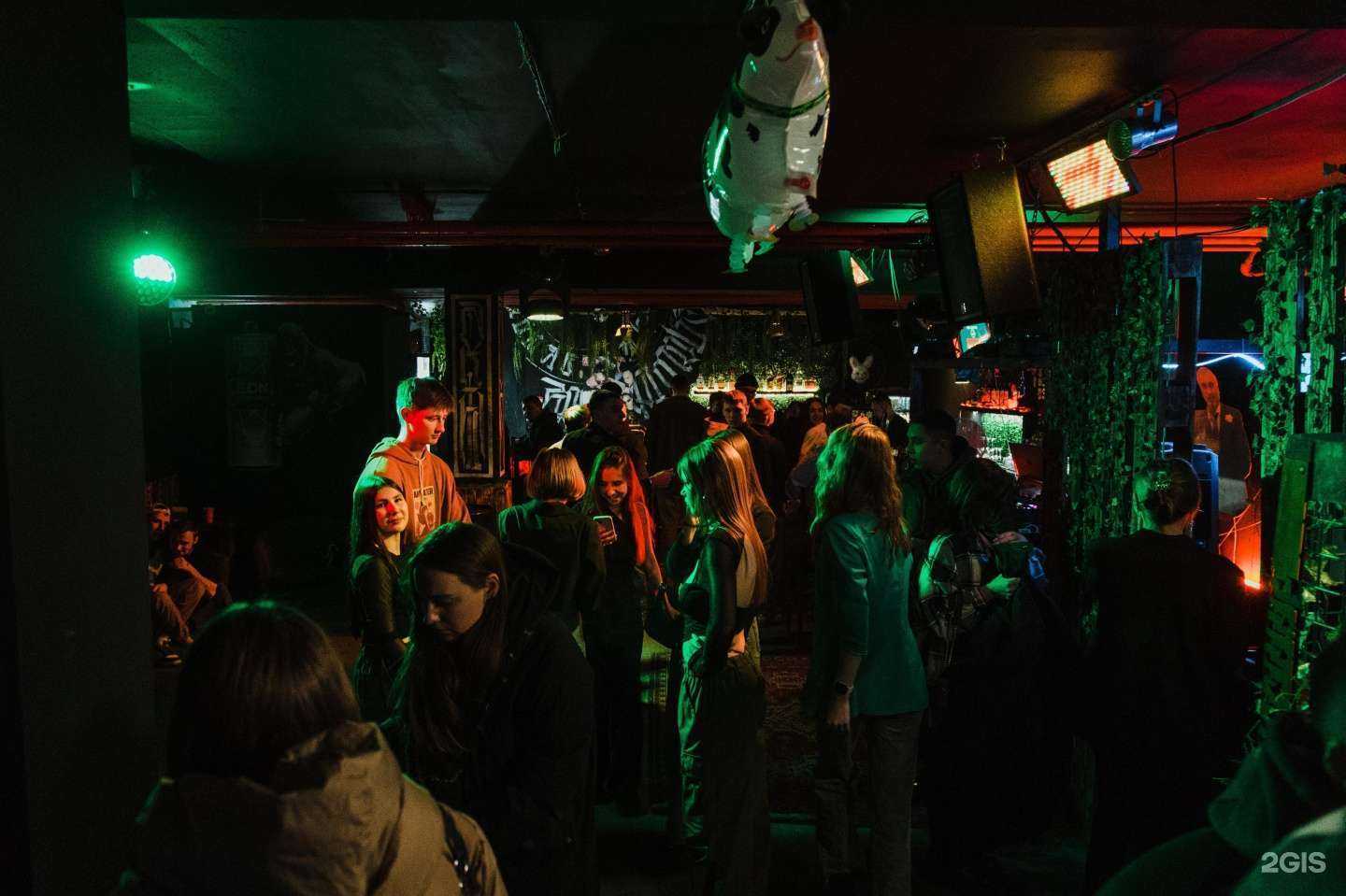 Отзывы на компанию Animals в Новосибирске c фото