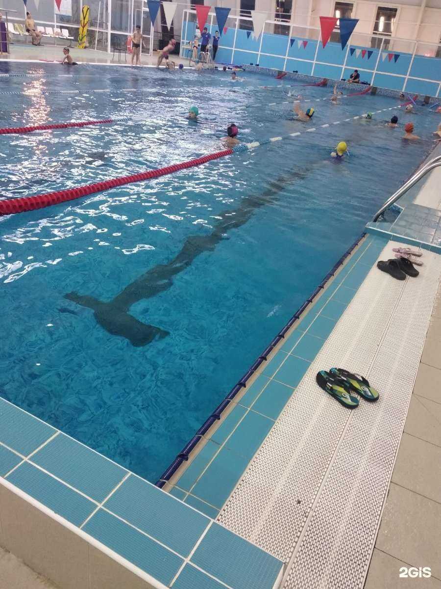 Отзывы на компанию СШ им. В.С.Соколова в Чебоксарах c фото