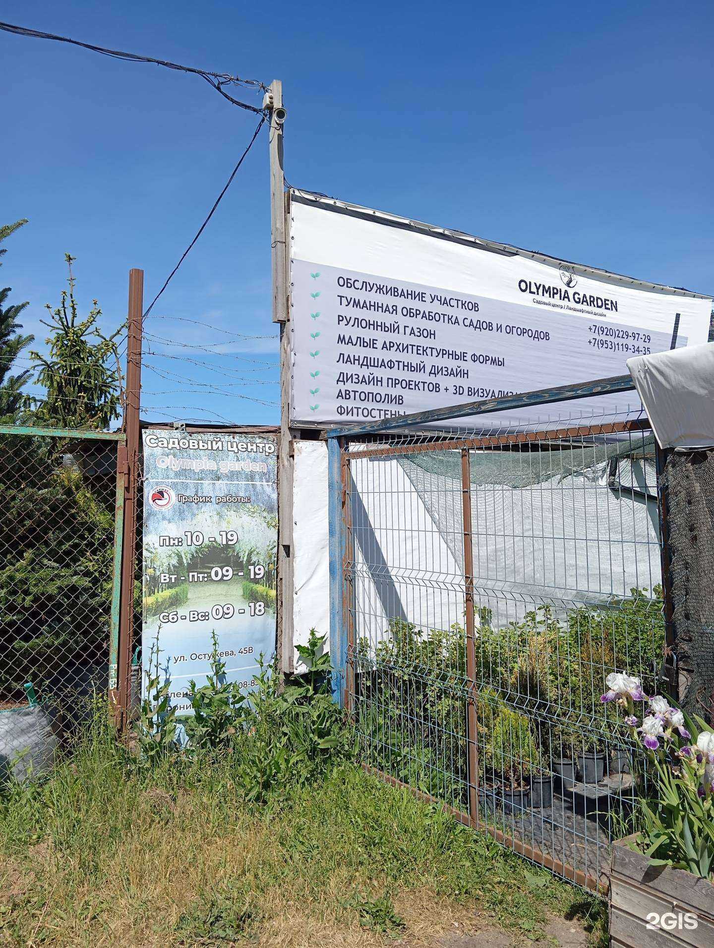 Отзывы на компанию Olympia garden в г. Воронеж c фото