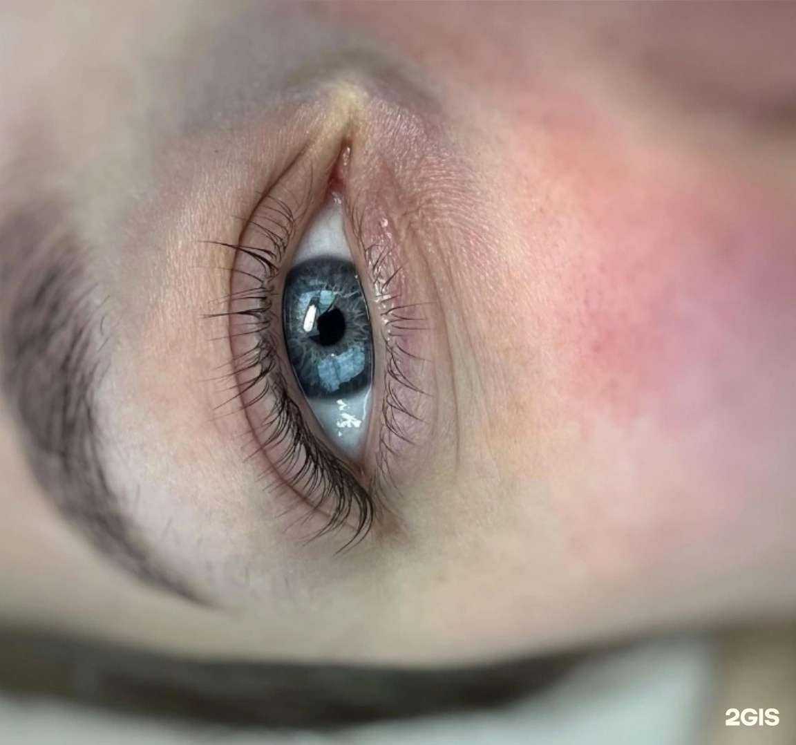 Отзывы на компанию Lami Lashes в г. Нижний Новгород c фото