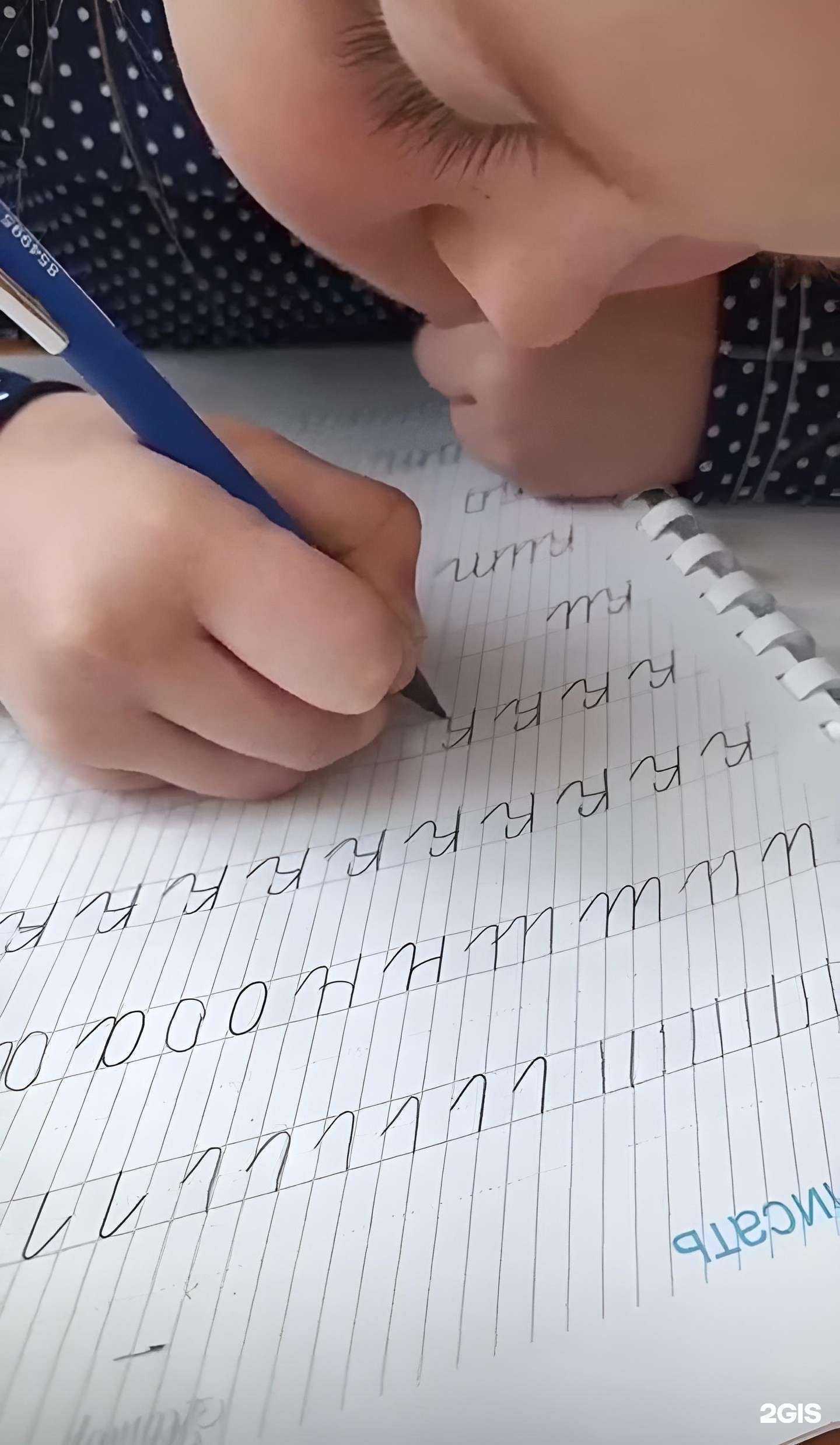 Отзывы на компанию Альтернатива в г. Тула c фото