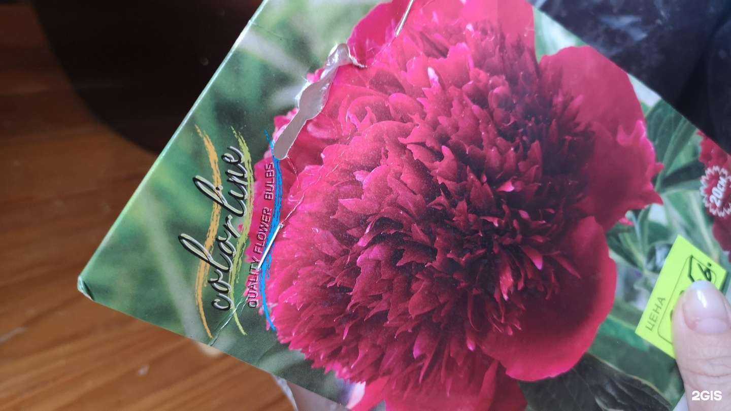 Отзывы на компанию Наш сад в г. Липецк c фото