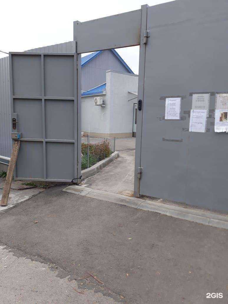 Отзывы на компанию Государственная ветеринарная лечебница №3 в Ростове-на-Дону c фото - фотография 2 из 2