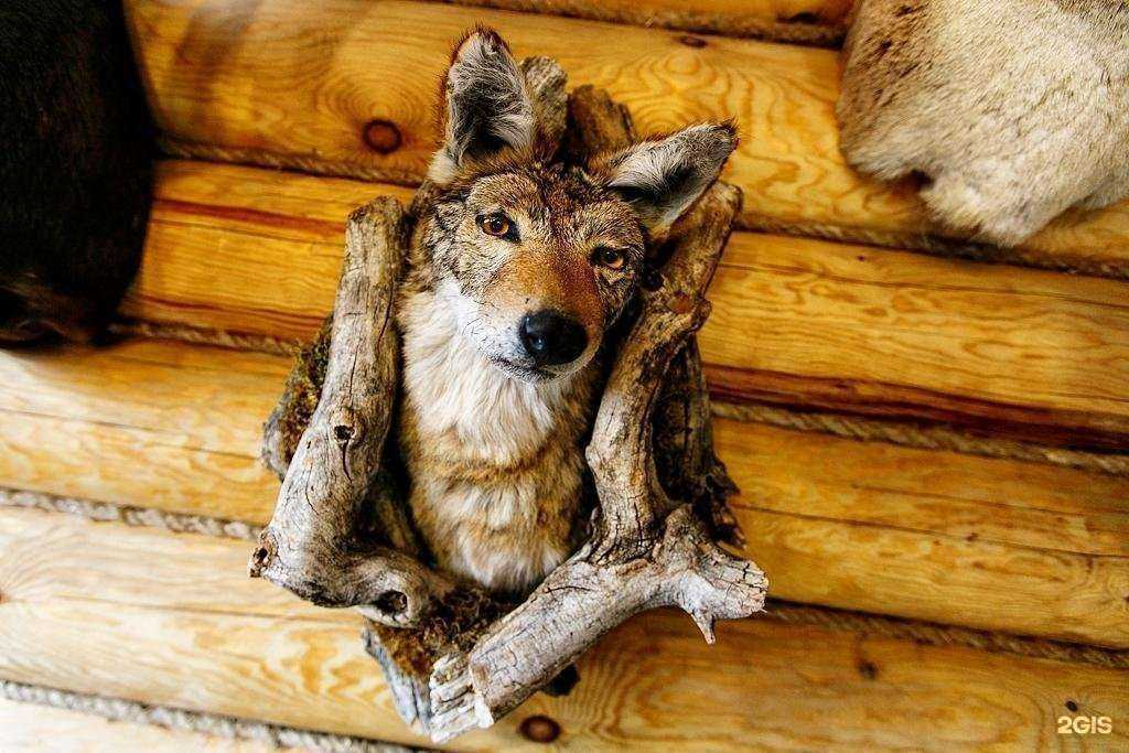 Отзывы на компанию Веранда в Владивостоке c фото