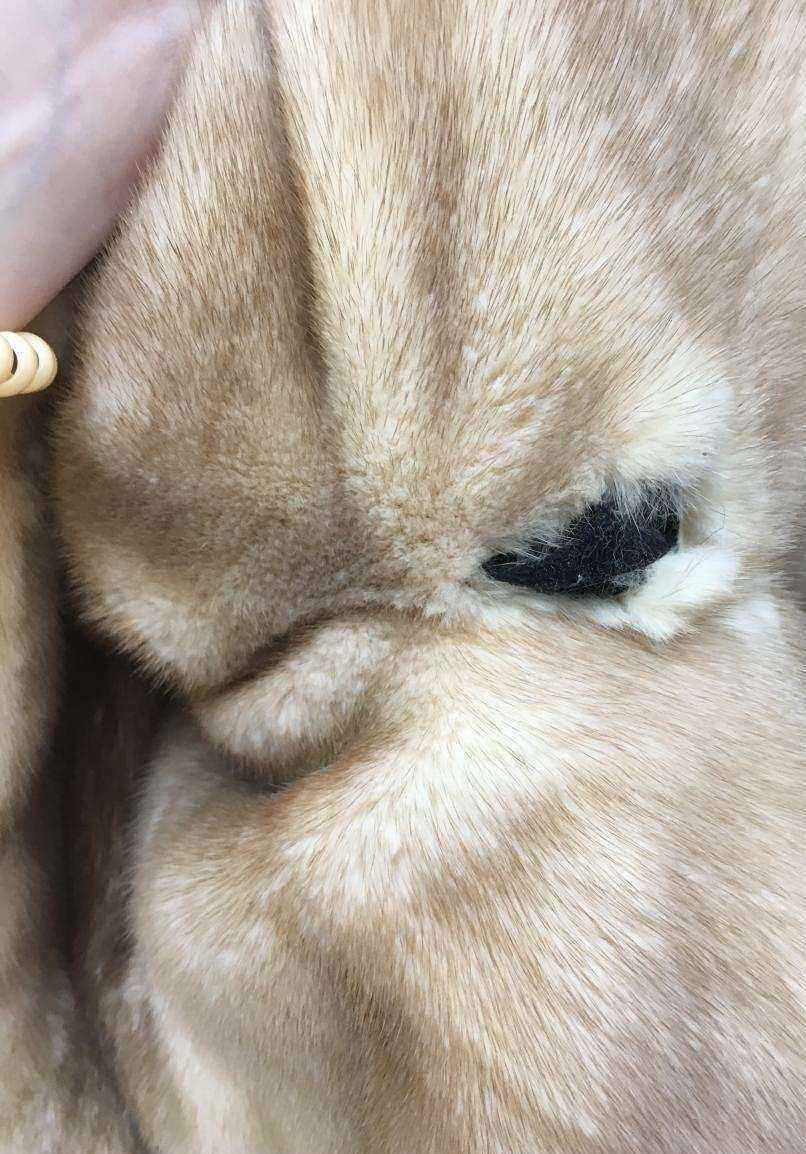 Отзывы на компанию Мастерская по ремонту одежды на Волховской в Новосибирске c фото