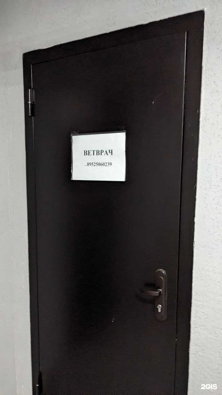 Отзывы на компанию Ветеринарный кабинет в г. Еманжелинск c фото