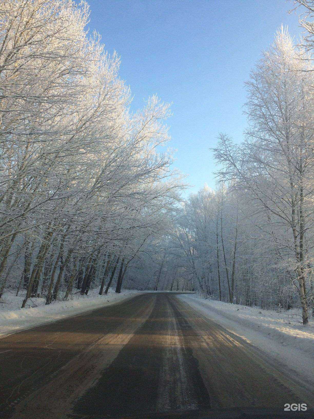 Отзывы на компанию Сибирика СПА  в Бердске c фото