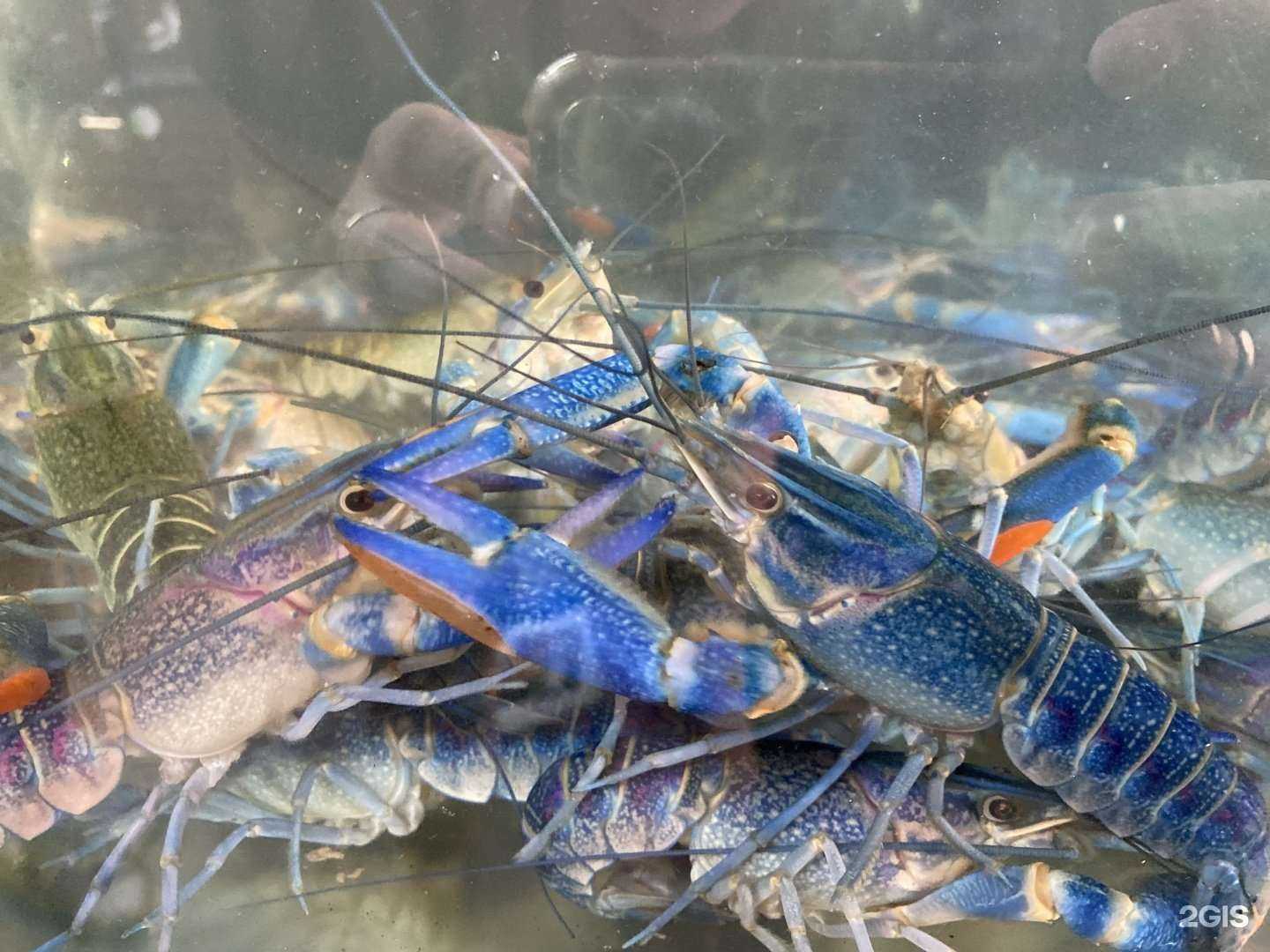 Отзывы на компанию BeerFest в Старом Осколе c фото