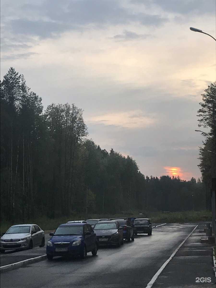 Отзывы на компанию Электрон в г. Ижевск c фото