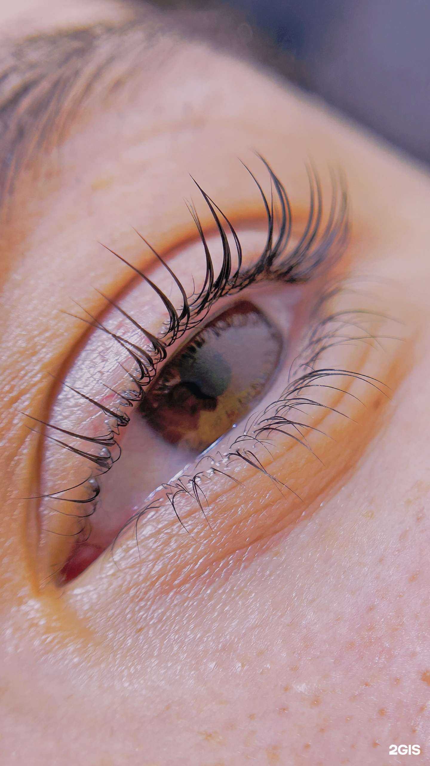 Отзывы на компанию gunay_lash в Екатеринбурге c фото