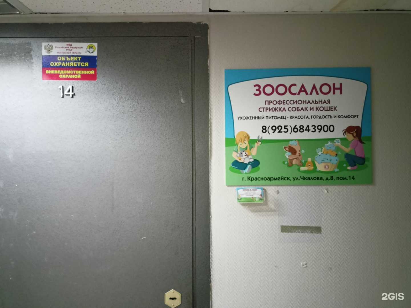 Отзывы на компанию Ухоженный питомец в г. Красноармейск c фото