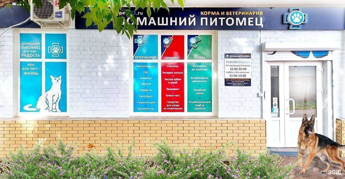 Отзывы на компанию Домашний питомец в г. Самара c фото