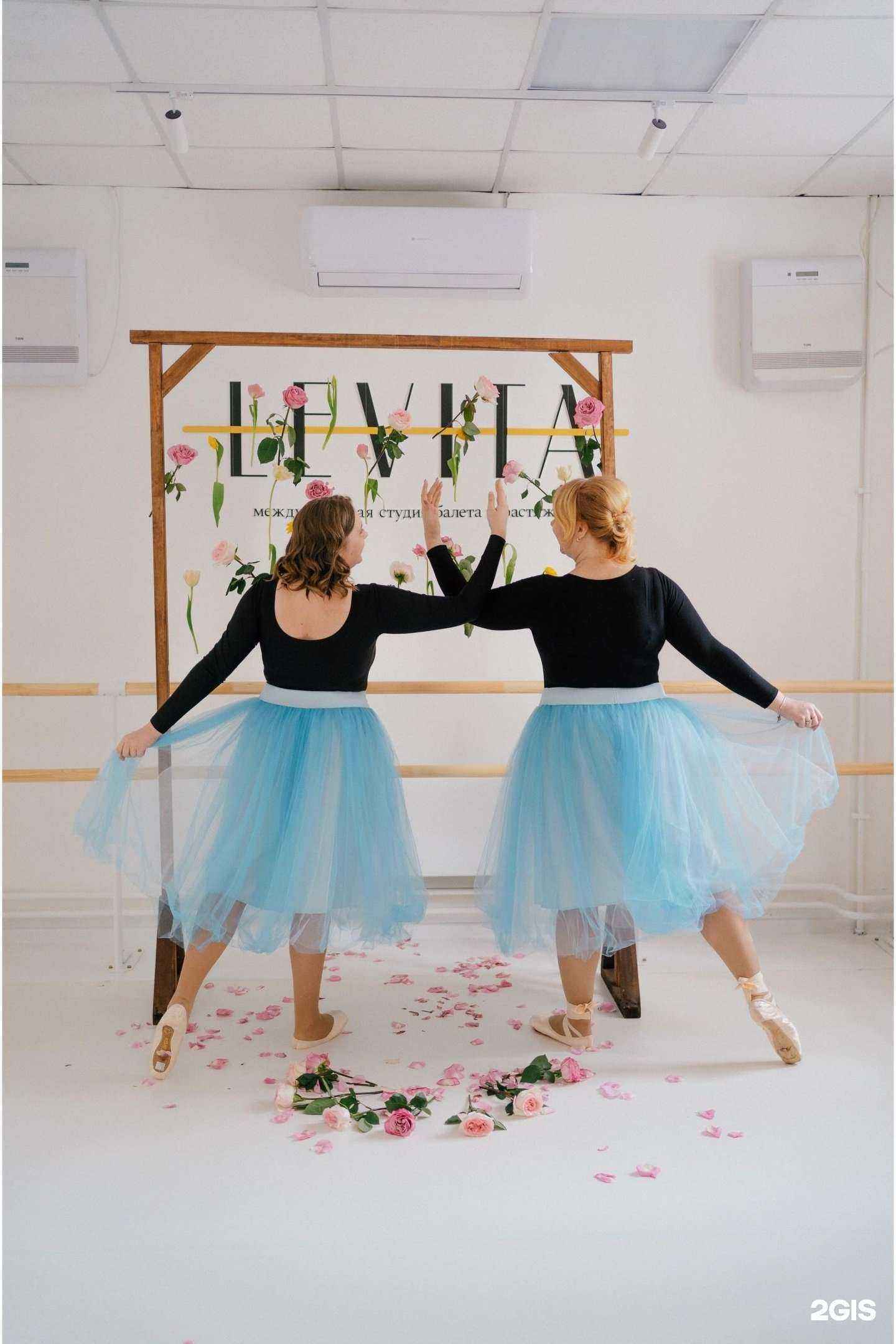 Отзывы на компанию Levita в г. Красноярск c фото