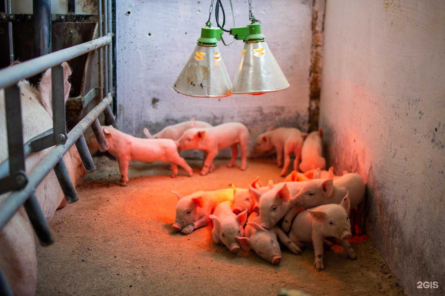 Отзывы на компанию СИБАГРО в г. Улан-Удэ c фото