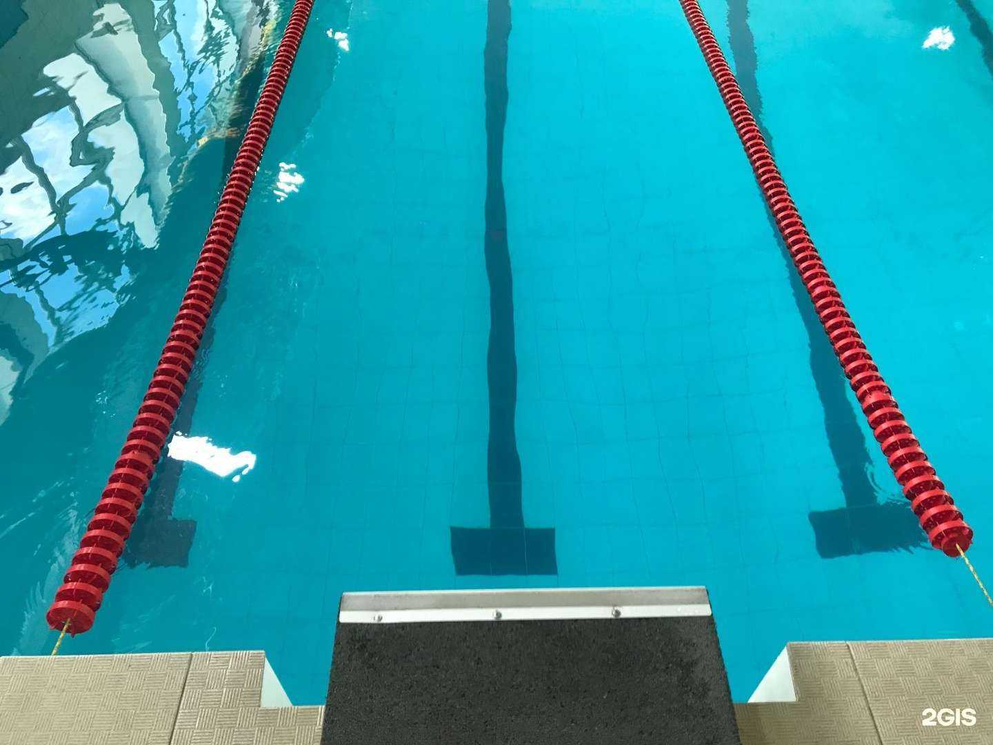 Отзывы на компанию Дельфин в г. Нижний Тагил c фото