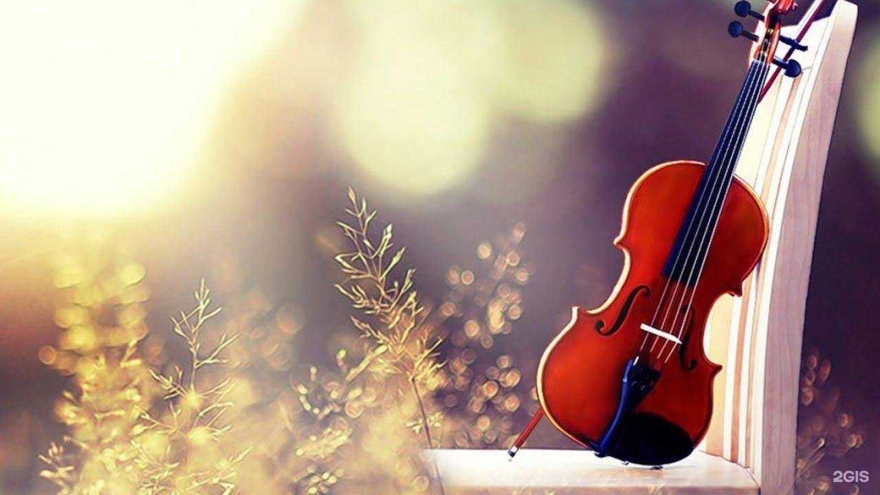 Отзывы на компанию Детская музыкальная школа №5 в Иванове c фото