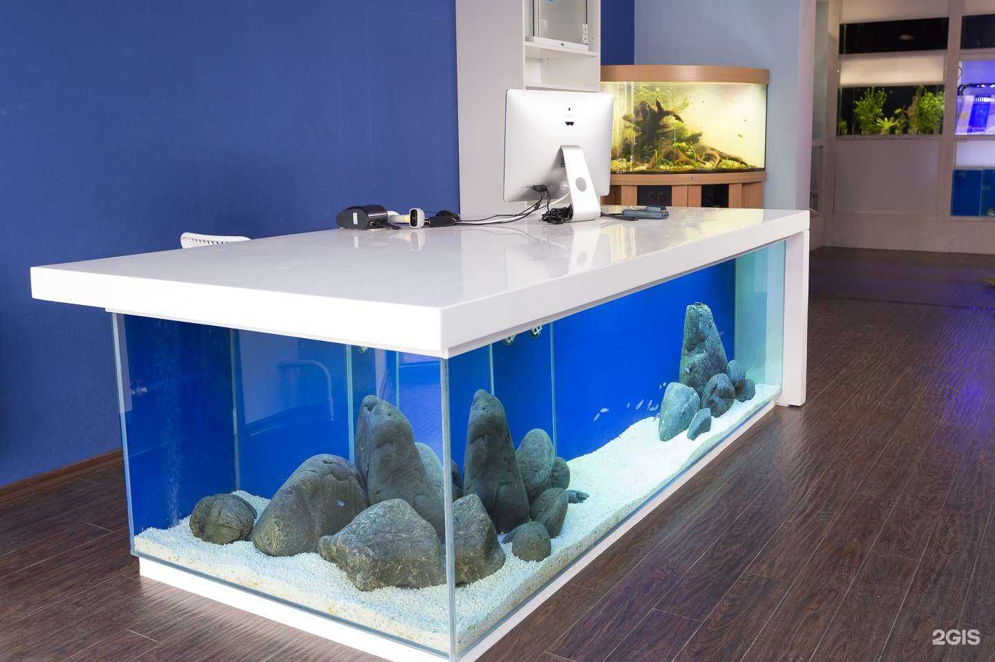 Отзывы на компанию Happyfishes в г. Екатеринбург c фото