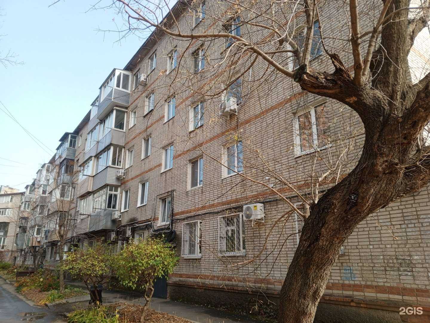 Отзывы на компанию Панда мед в Владивостоке c фото - фотография 2 из 2