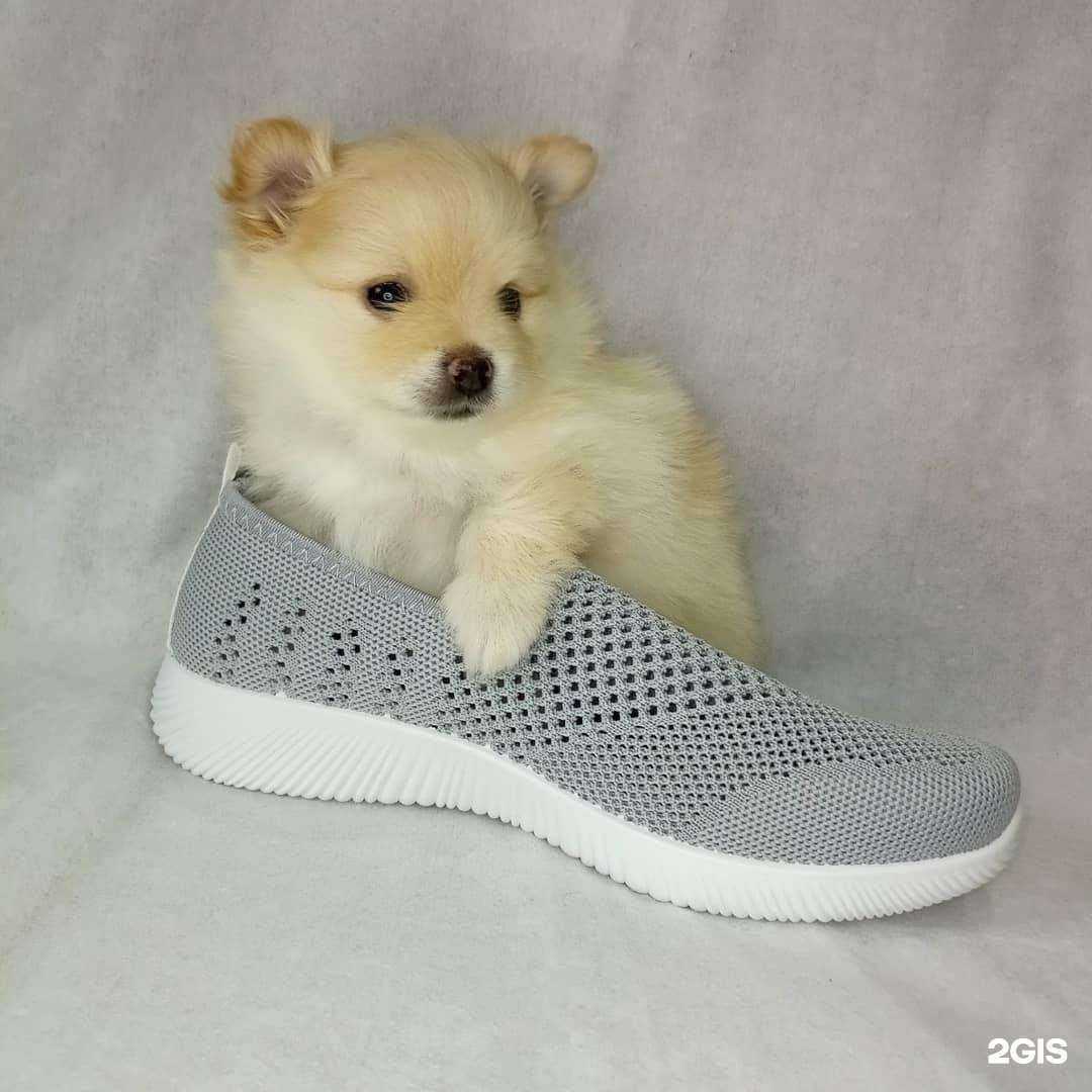 Отзывы на компанию Тапочкин дом в Орле c фото