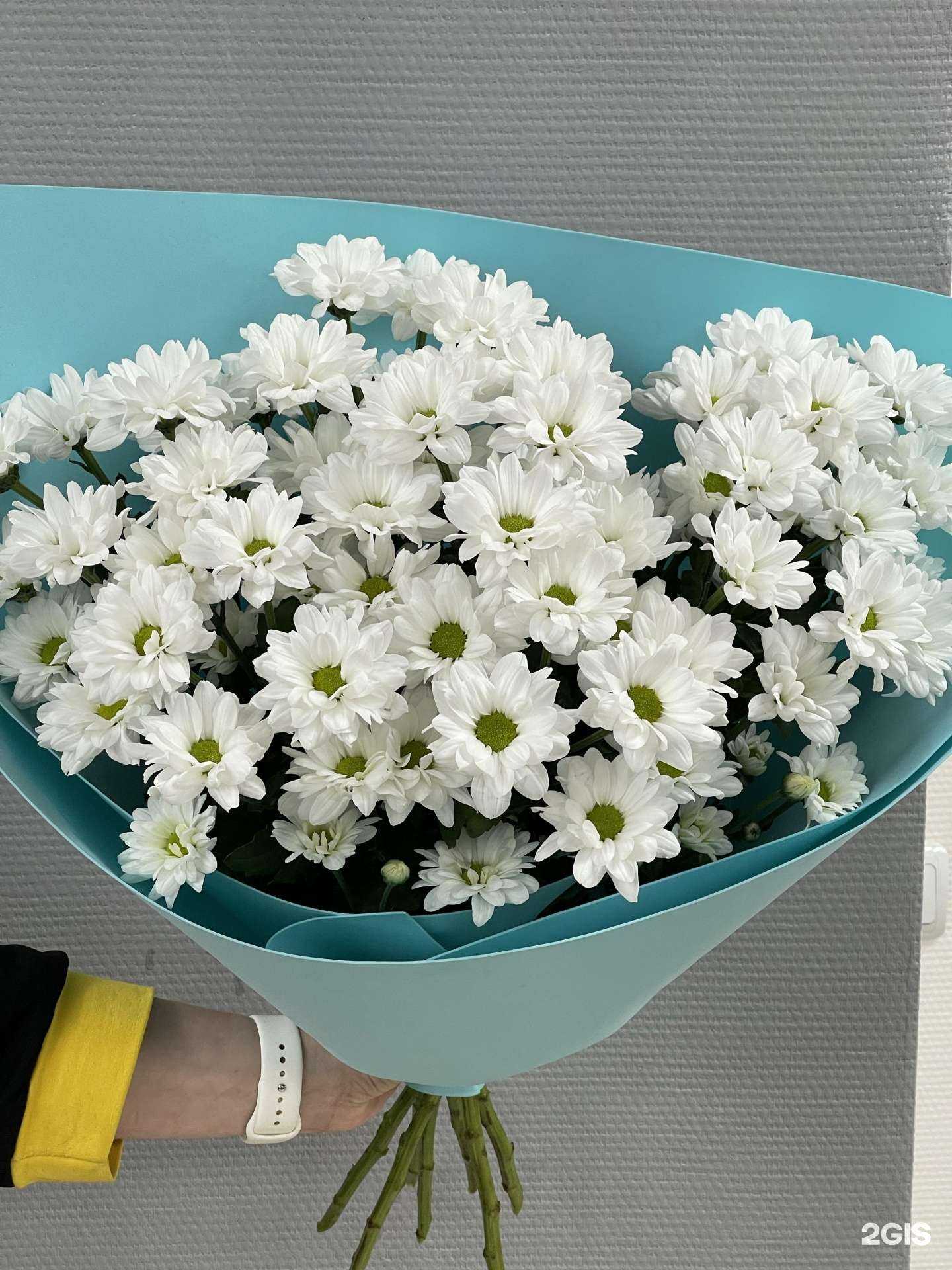 Отзывы на компанию Ирис в г. Нижний Новгород c фото