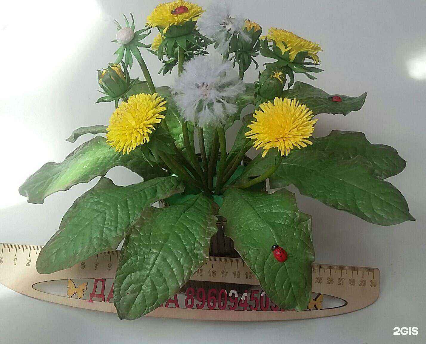 Отзывы на компанию Дарёна в г. Бийск c фото