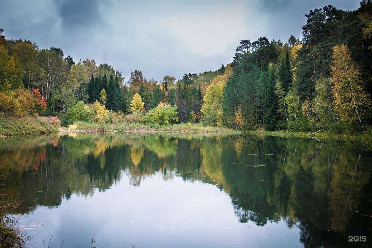 Отзывы на компанию Центральный Сибирский Ботанический сад СО РАН в Новосибирске c фото