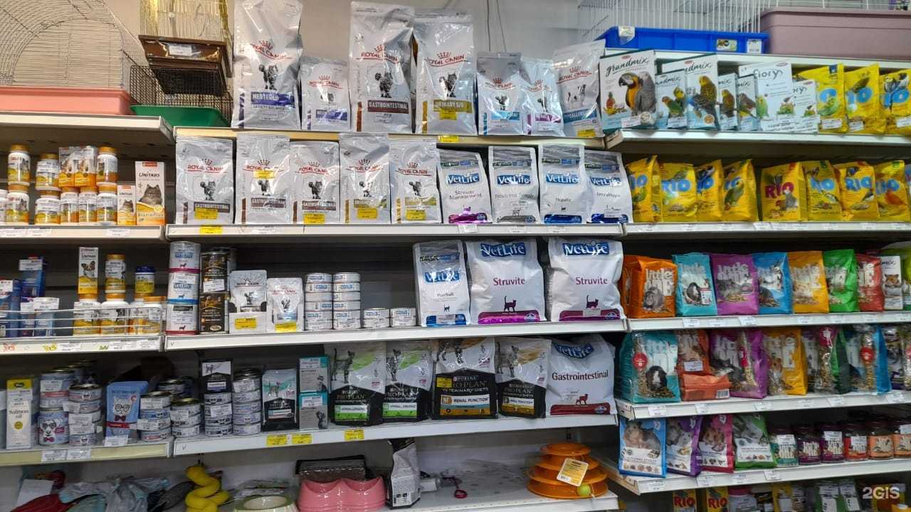 Отзывы на компанию Зоорегион в Екатеринбурге c фото