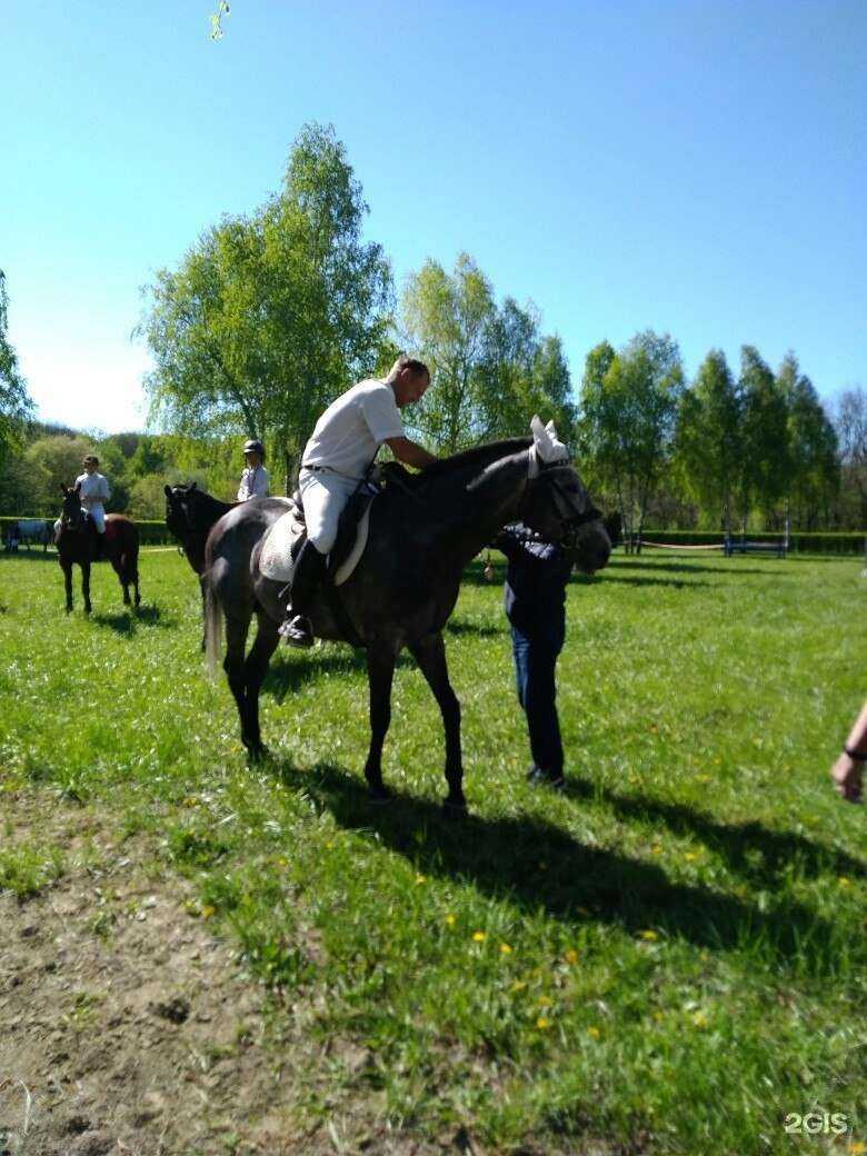 Отзывы на компанию Ставропольский детско-юношеский конно-спортивный клуб в Ставрополе c фото
