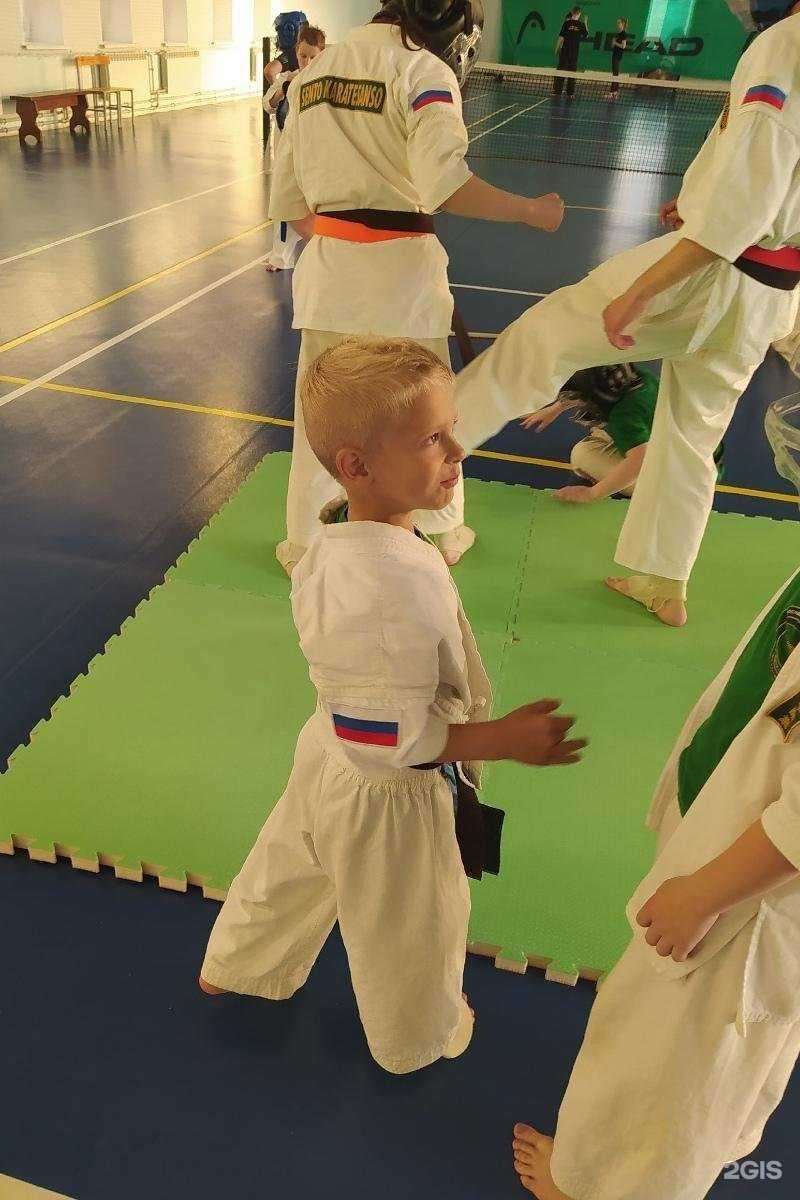 Отзывы на компанию Федерация боевого каратэ в Ярославле c фото