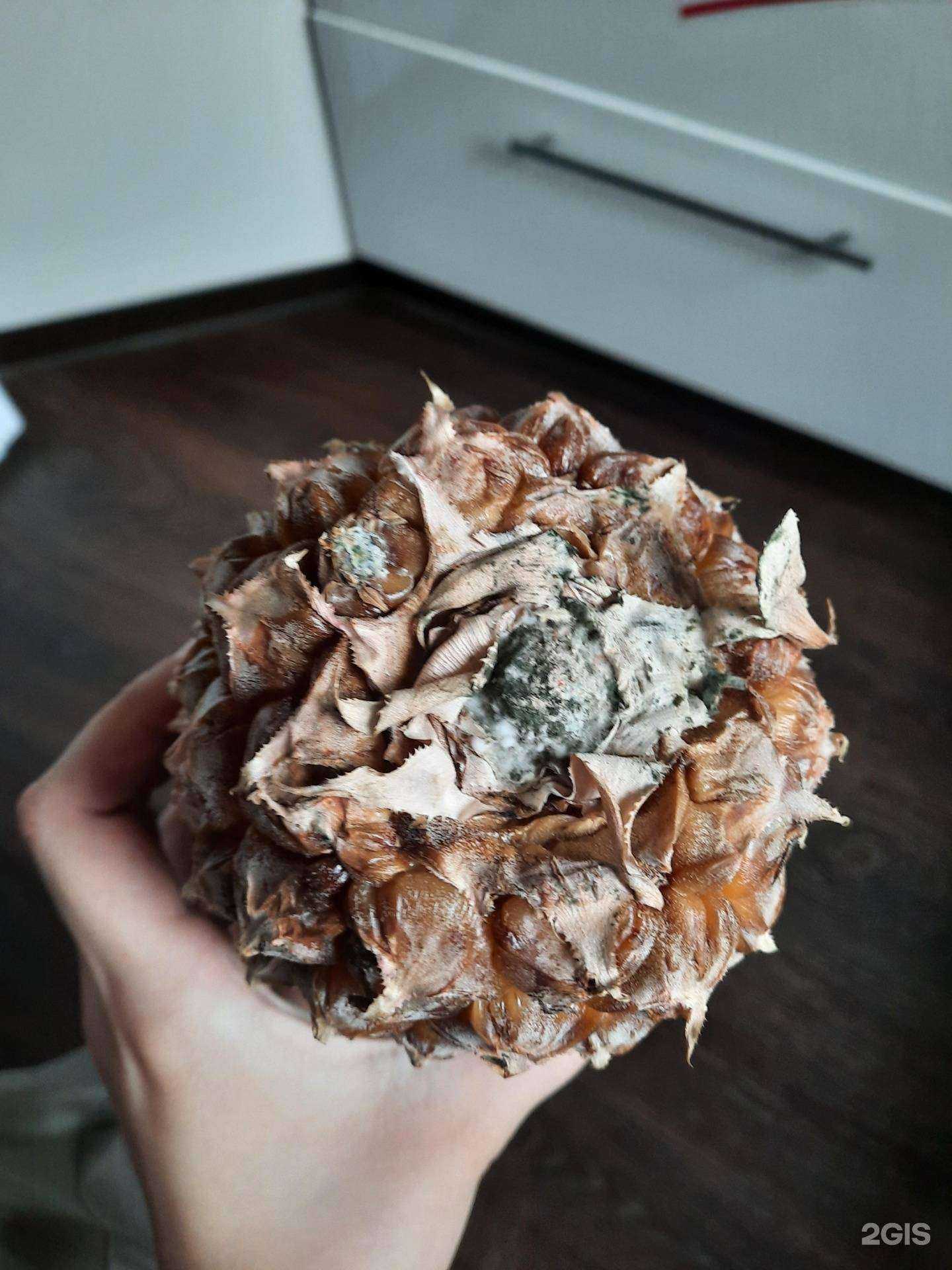 Отзывы на компанию Лавка здоровья в Новосибирске c фото