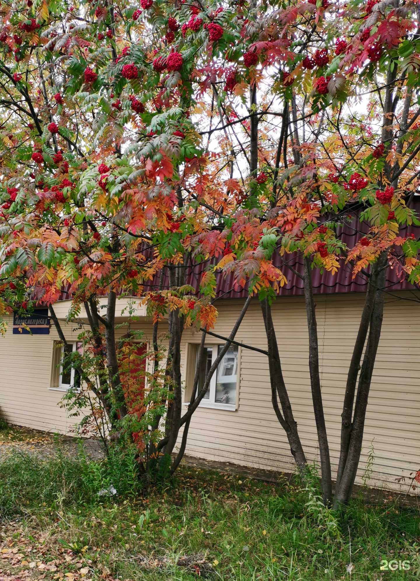 Отзывы на компанию Студия перманентного макияжа в г. Лангепас c фото