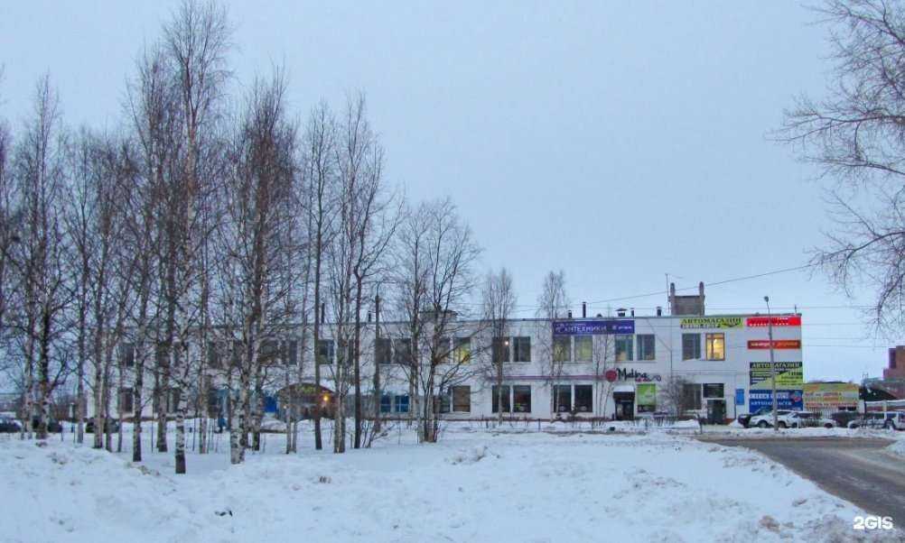 Отзывы на компанию Shumi-shop в Северодвинске c фото - фотография 2 из 2