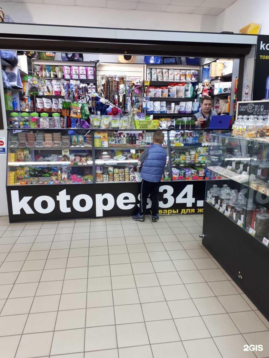 Отзывы на компанию Котопёс в г. Волгоград c фото