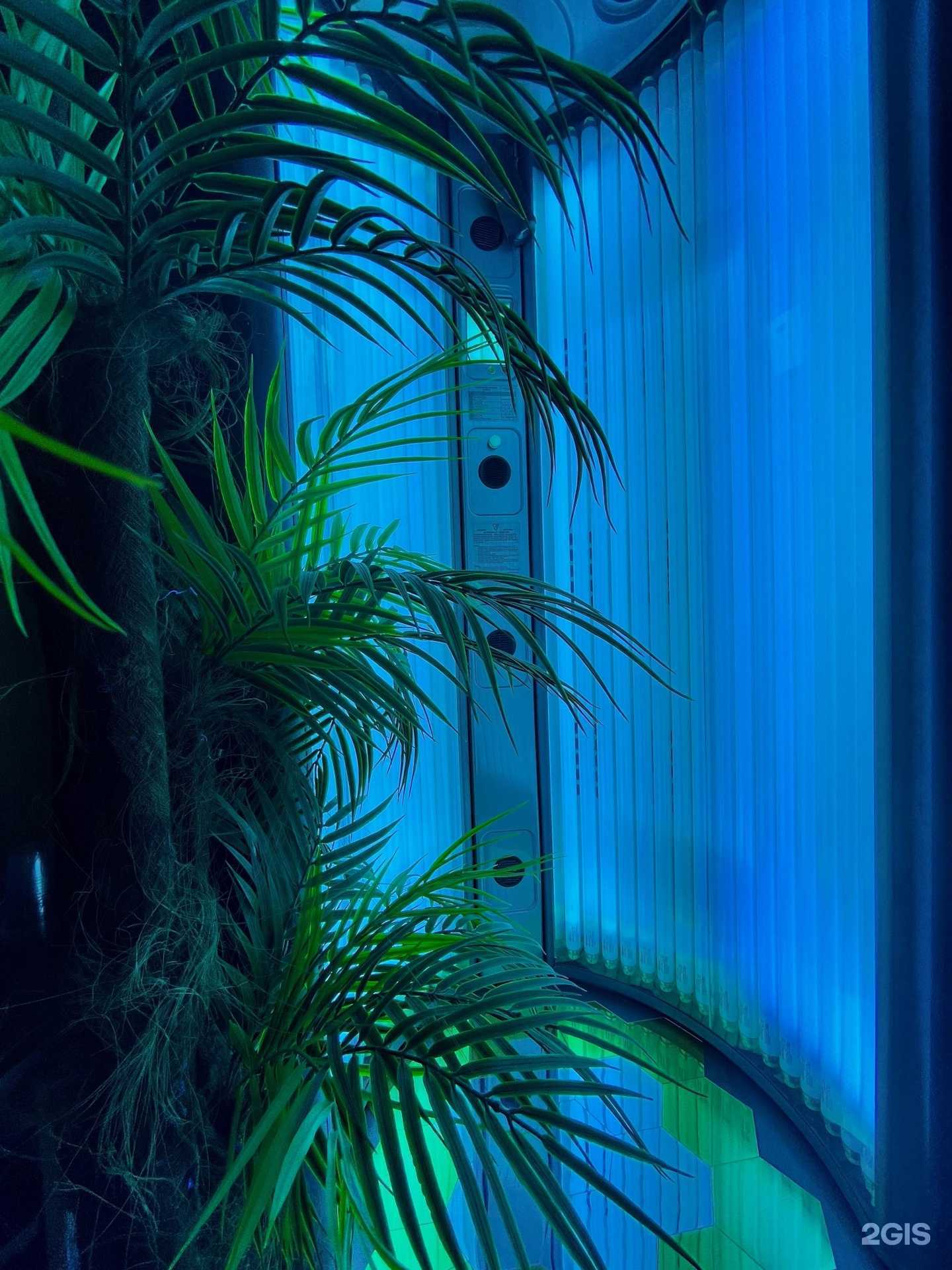 Отзывы на компанию Mulatto в Нижнем Новгороде c фото