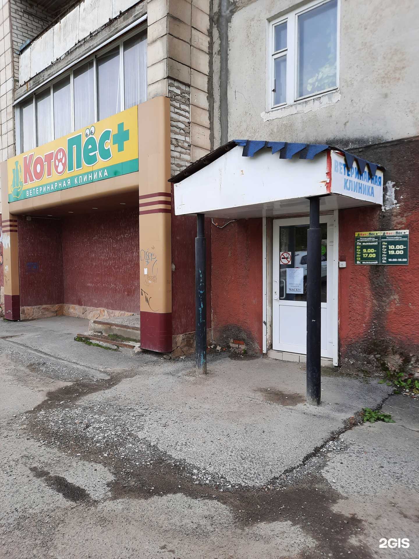 Отзывы на компанию КотоПёс в Березниках c фото