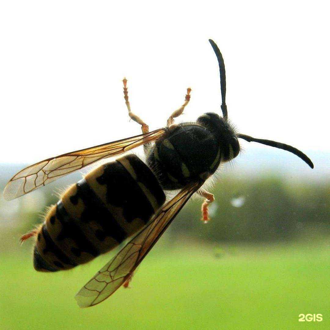 Отзывы на компанию Техно-колор в г. Нижнекамск c фото