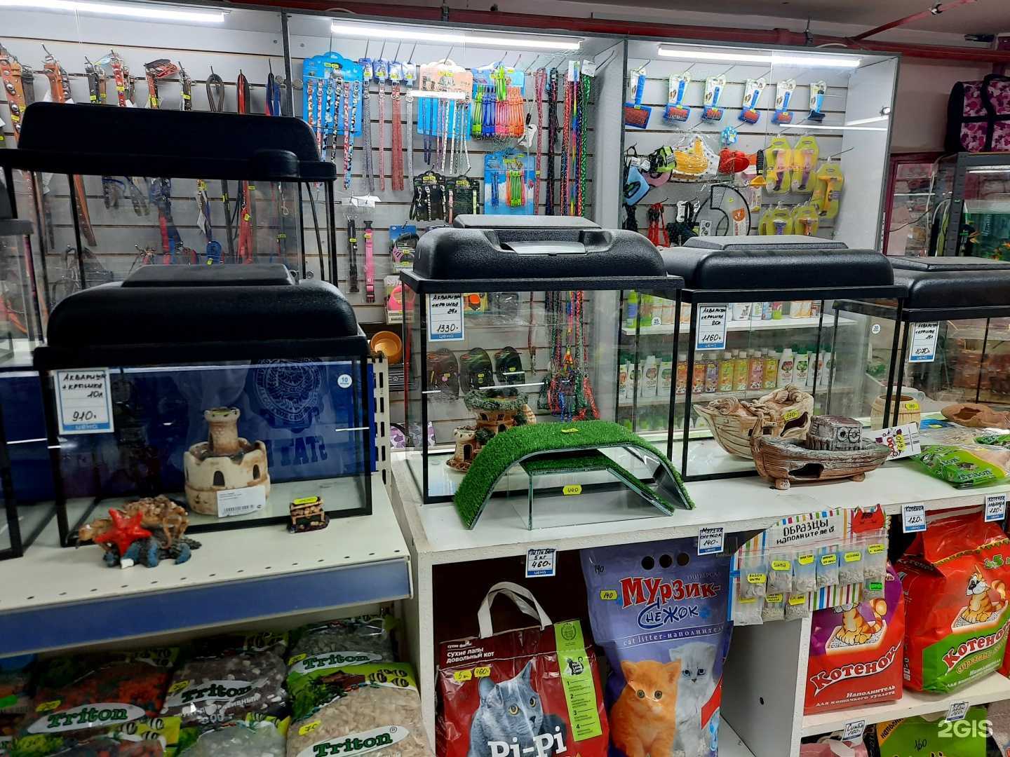 Отзывы на компанию Pro Pet в Набережных Челнах c фото