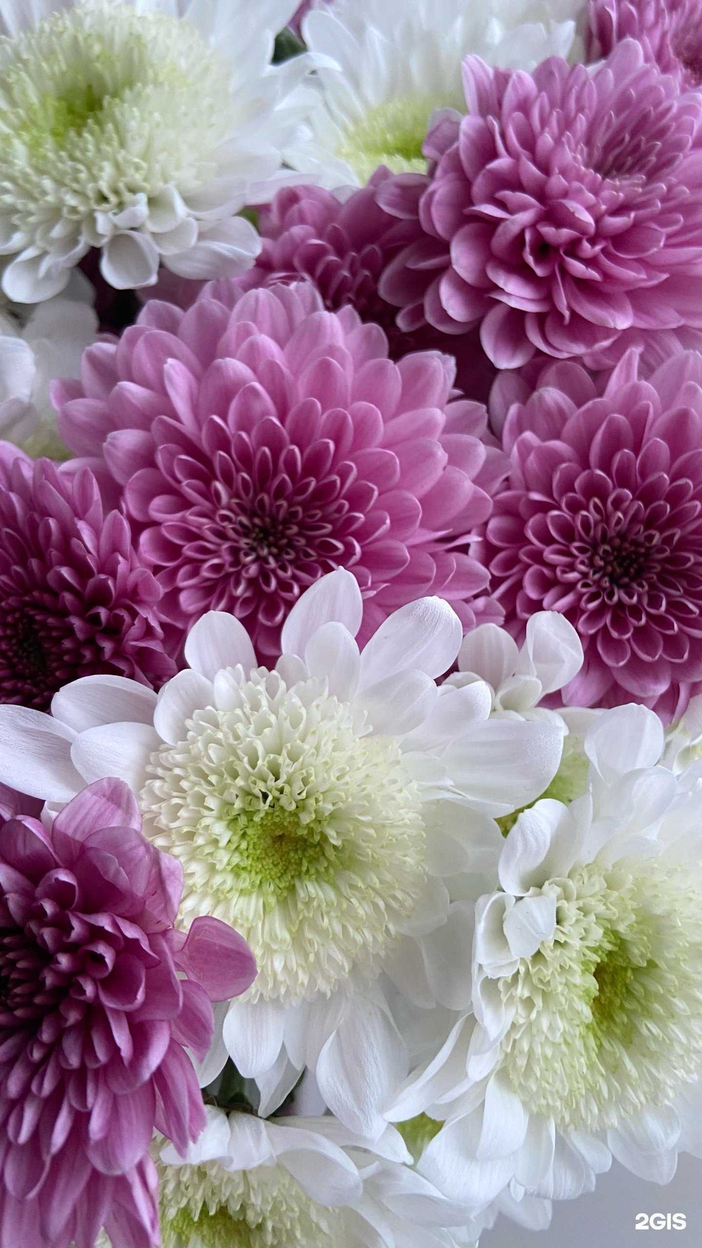 Отзывы на компанию Клевер в Сургуте c фото