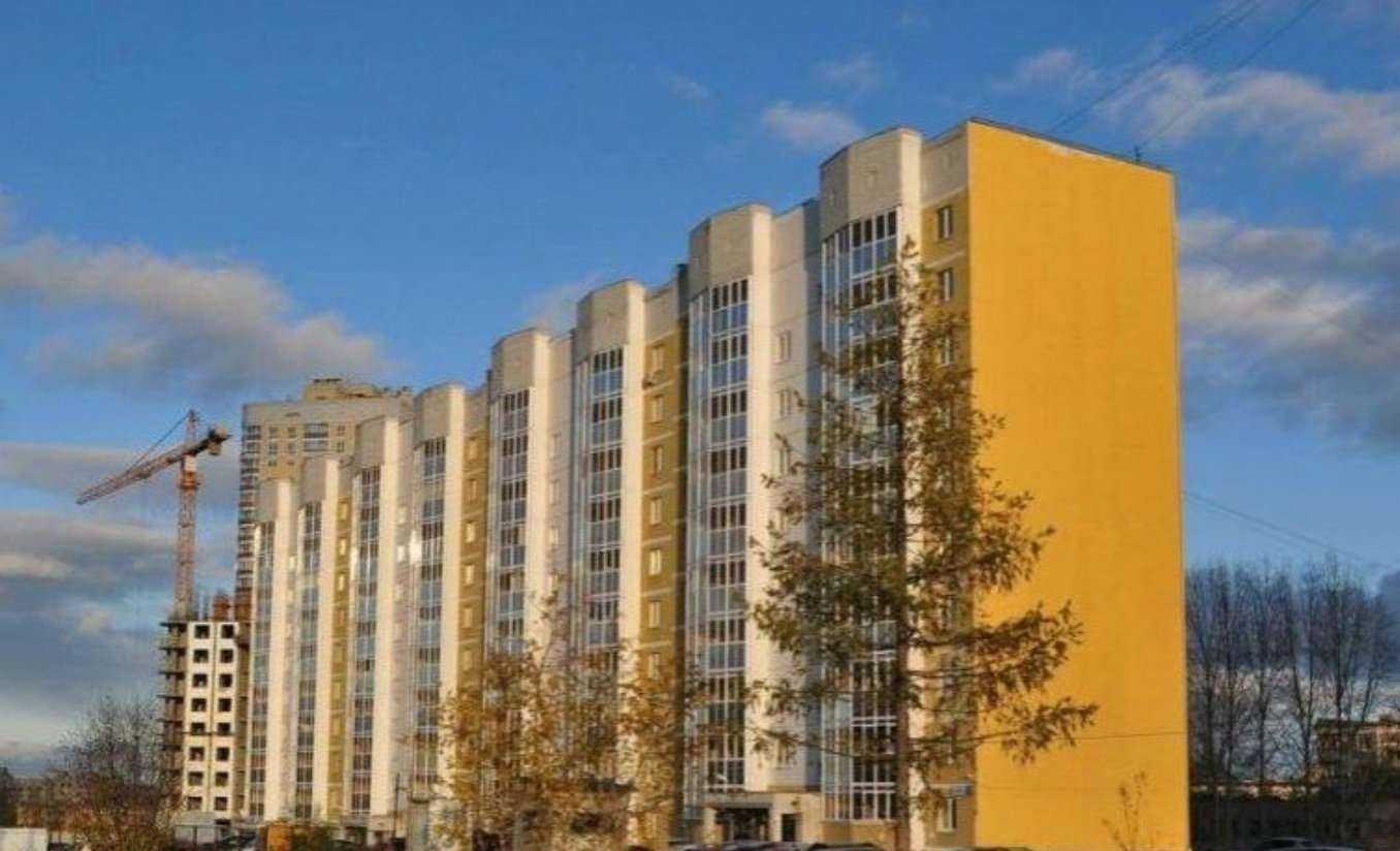 Отзывы на компанию Little Chincha в Екатеринбурге c фото