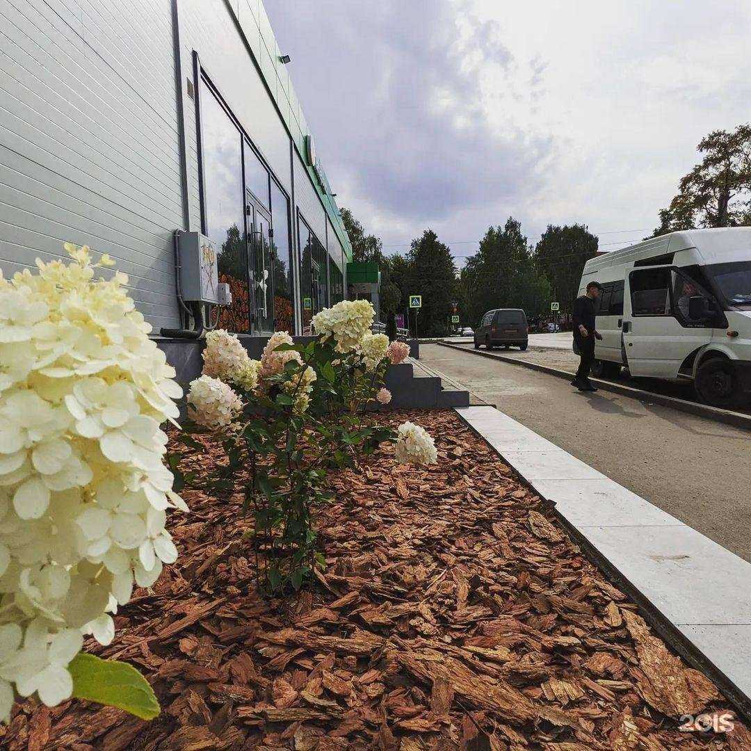 Отзывы на компанию Западный в г. Сарапул c фото