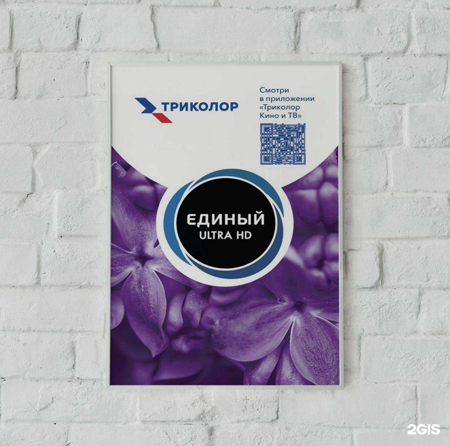 Отзывы на компанию Триколор в Мурманске c фото